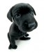 B[1]. labrador 1.jpg