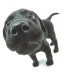 B[1]. labrador 3.jpg